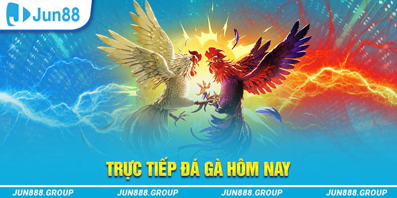 fi88 casino SÒNG BẠC
