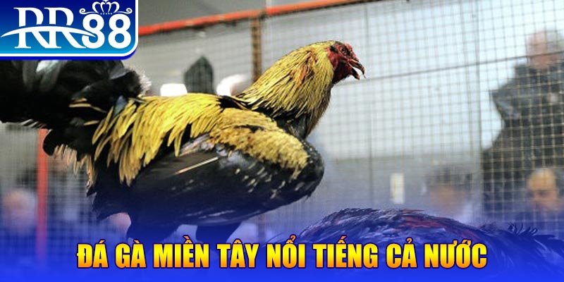 game b52 casino tỷ lệ bóng đá