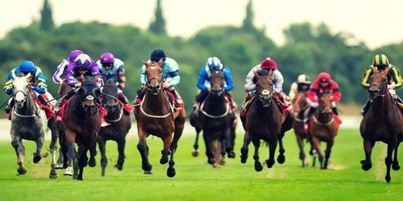 solarbet sòng bạc ĐĂNG NHẬP